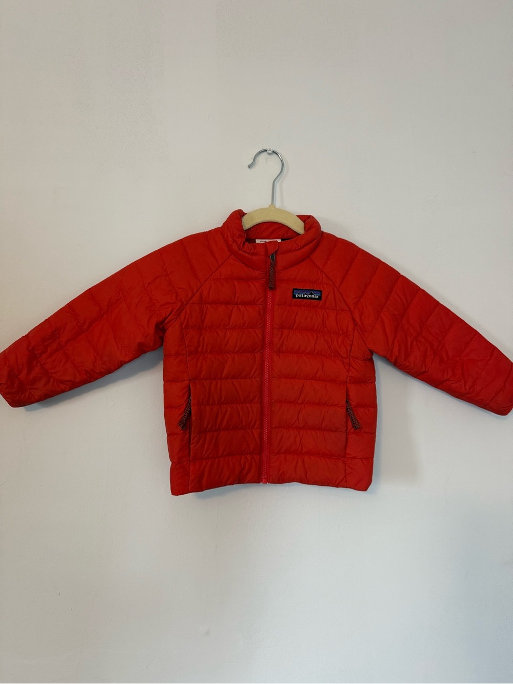 Patagonia Kids' Red down sweater 2t